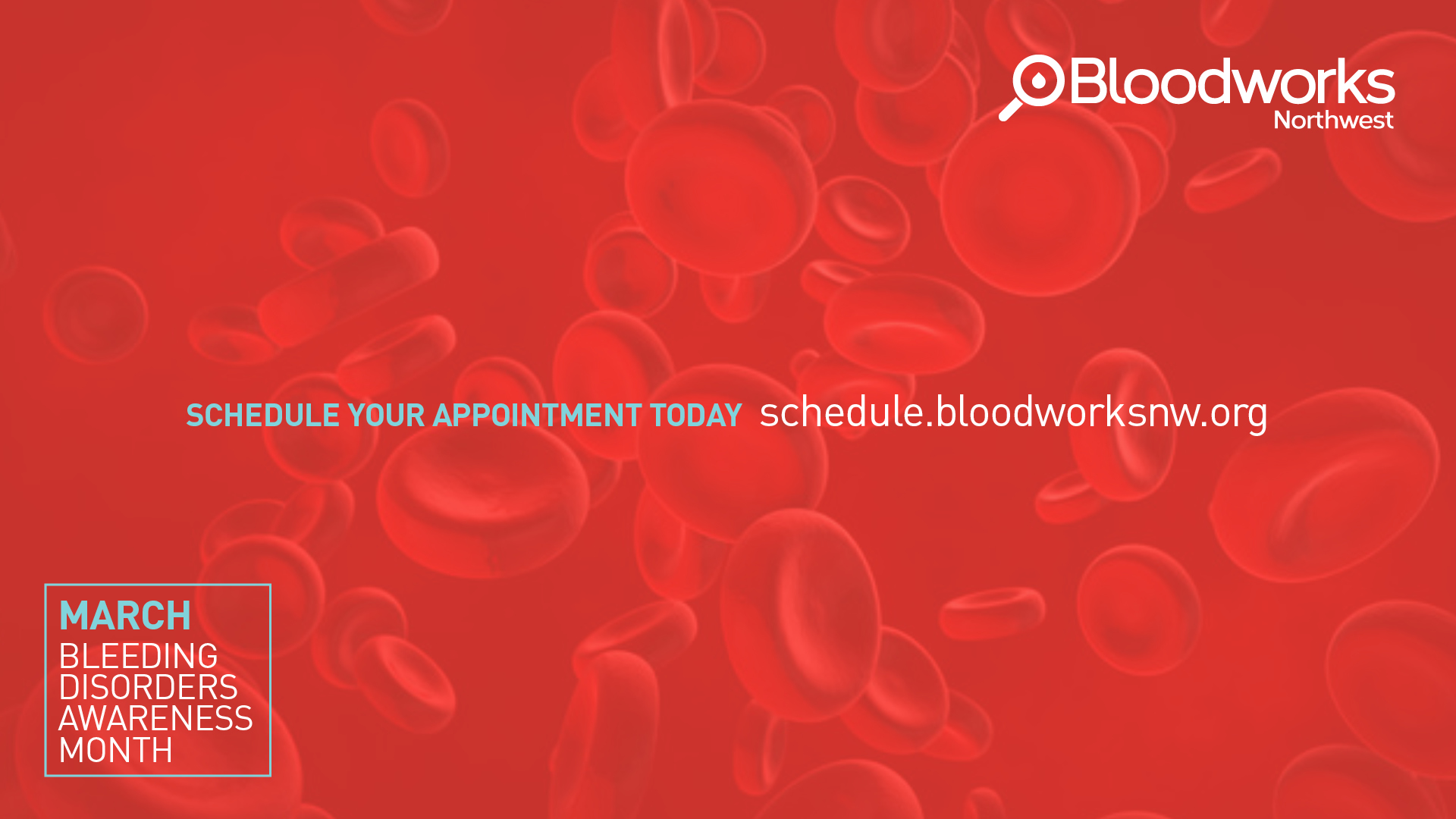 Schedule your next blood donation today.