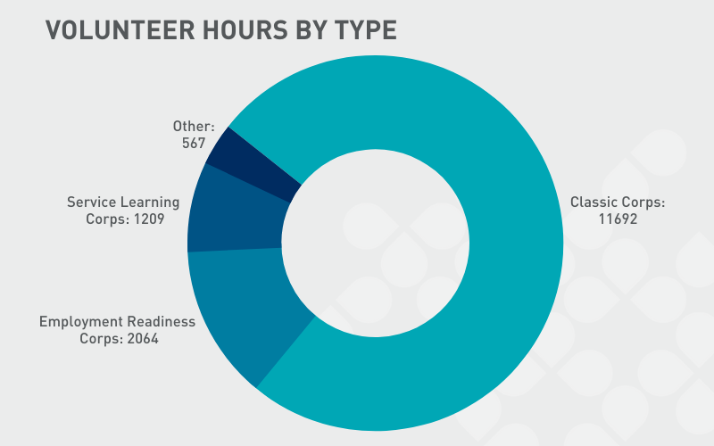volunteer hours by type